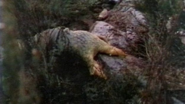silurians2