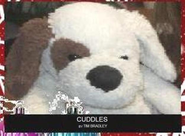 16-3-cuddles