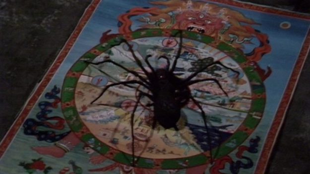 planet of the spiders3