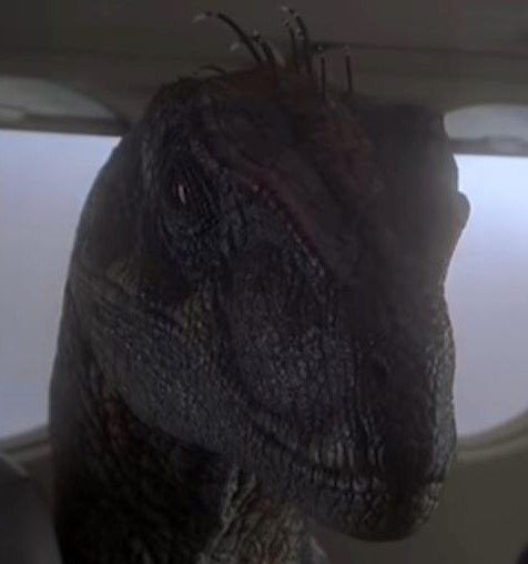 Scar Raptor The ‘Jurassic Park’ Trilogy | Bradley's Basement